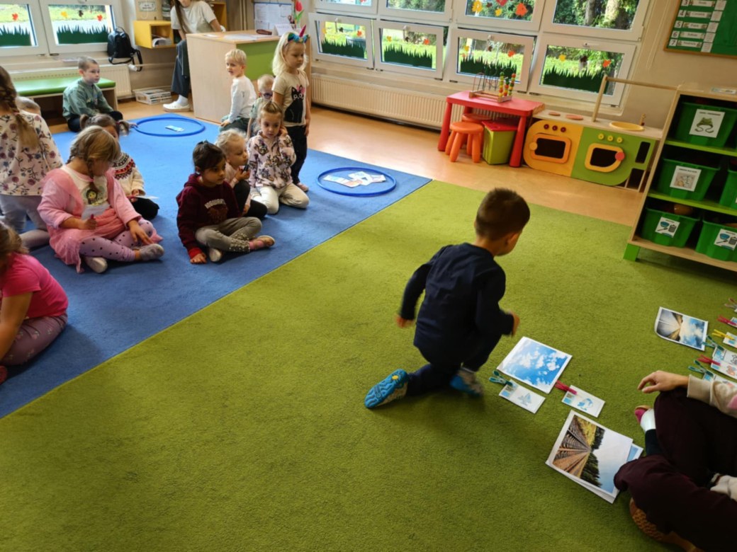 Sówki: Listopad 2025 - Zdjęcie 88