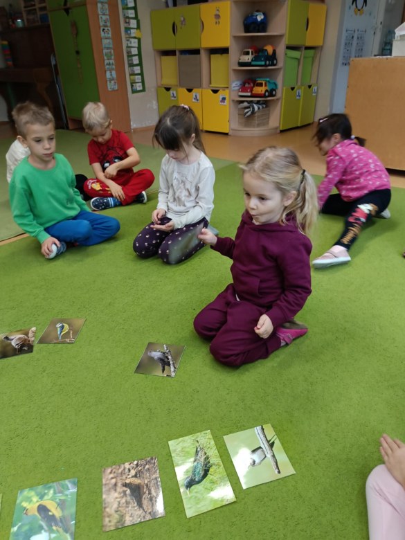 Sówki: Listopad 2025 - Zdjęcie 110