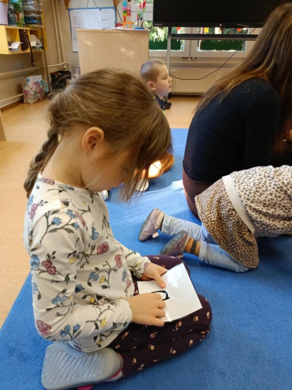 Sówki: Listopad 2025 - Zdjęcie 128