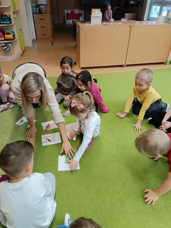 Sówki: Listopad 2025 - Zdjęcie 140