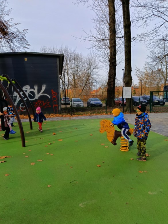 Sówki: Listopad 2025 - Zdjęcie 145