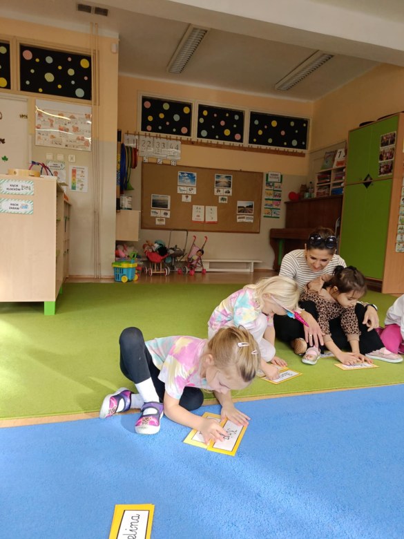 Sówki: Listopad 2025 - Zdjęcie 146