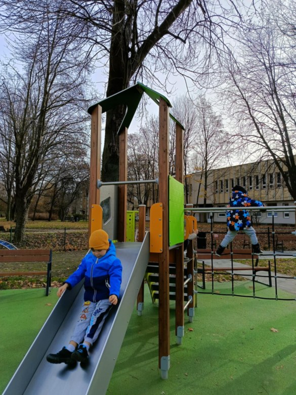 Sówki: Listopad 2025 - Zdjęcie 147