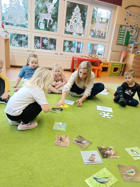 Sówki: Listopad 2025 - Zdjęcie 155