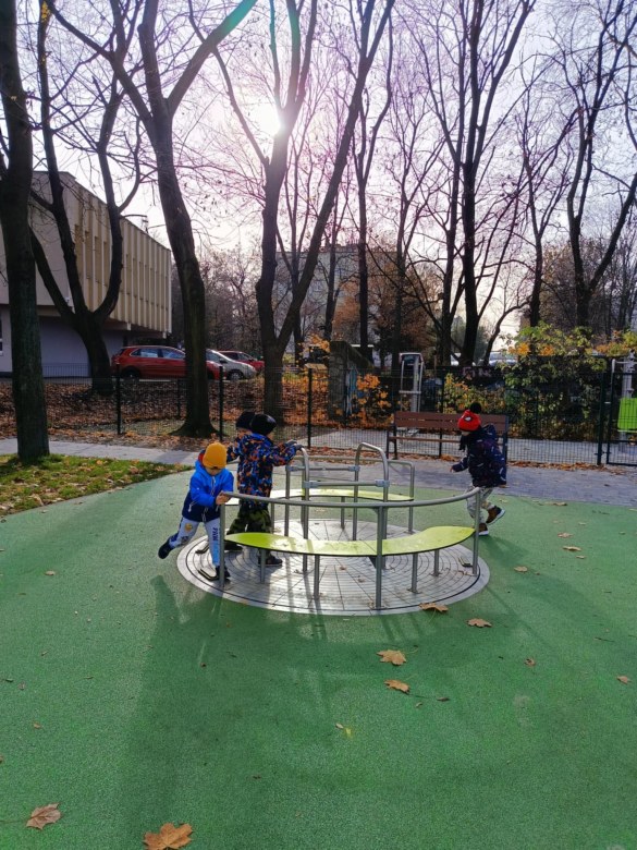 Sówki: Listopad 2025 - Zdjęcie 11