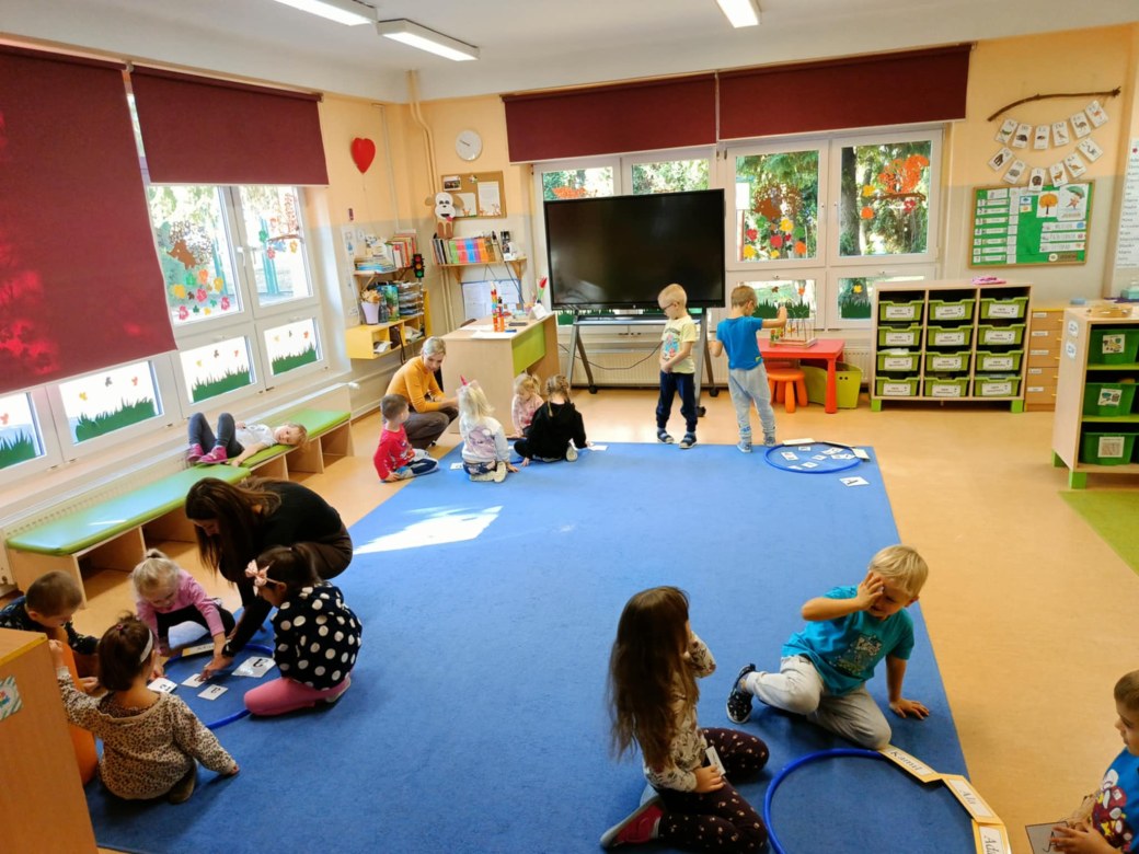 Sówki: Listopad 2025 - Zdjęcie 14