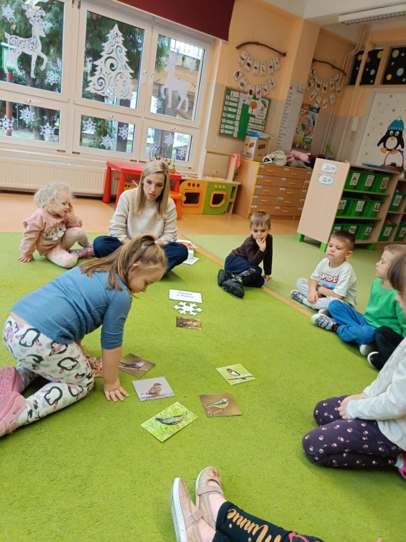 Sówki: Listopad 2025 - Zdjęcie 43