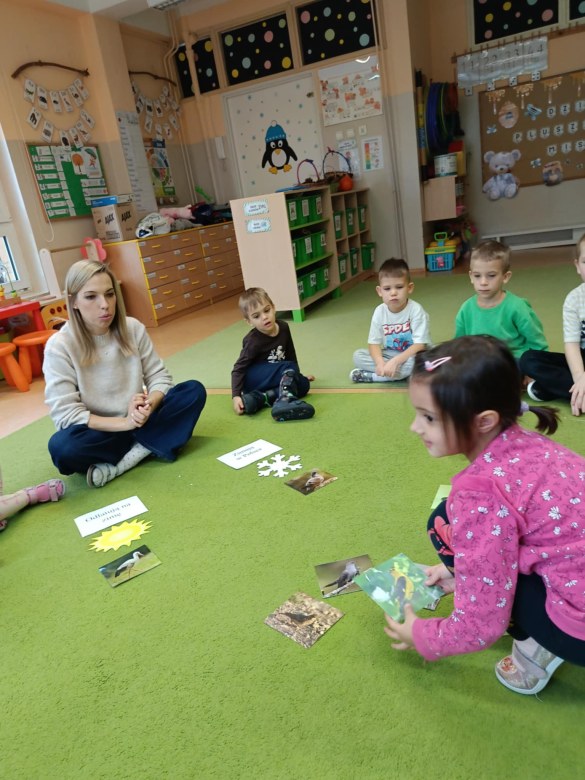 Sówki: Listopad 2025 - Zdjęcie 34