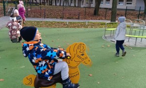 Sówki: Listopad 2025 - Zdjęcie 72