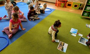 Sówki: Listopad 2025 - Zdjęcie 77