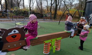 Sówki: Listopad 2025 - Zdjęcie 80