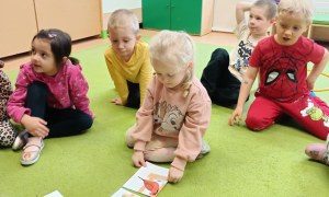 Sówki: Listopad 2025 - Zdjęcie 82