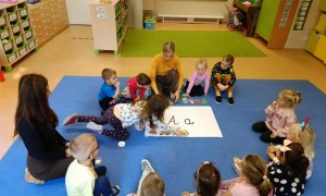 Sówki: Listopad 2025 - Zdjęcie 87