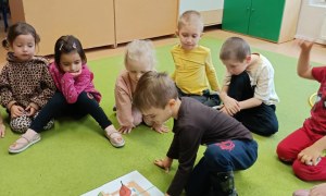 Sówki: Listopad 2025 - Zdjęcie 91