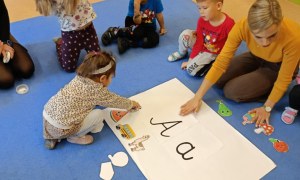 Sówki: Listopad 2025 - Zdjęcie 93