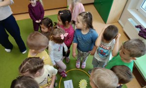 Sówki: Listopad 2025 - Zdjęcie 109