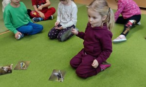 Sówki: Listopad 2025 - Zdjęcie 110