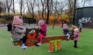 Sówki: Listopad 2025 - Zdjęcie 111