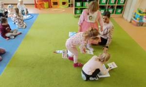 Sówki: Listopad 2025 - Zdjęcie 134