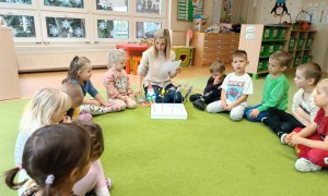 Sówki: Listopad 2025 - Zdjęcie 135