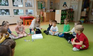 Sówki: Listopad 2025 - Zdjęcie 136