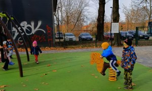 Sówki: Listopad 2025 - Zdjęcie 145