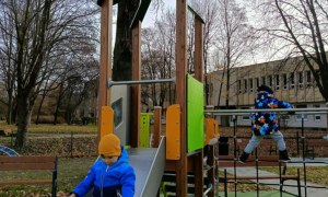 Sówki: Listopad 2025 - Zdjęcie 147