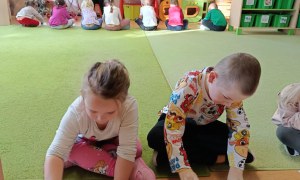 Sówki: Listopad 2025 - Zdjęcie 150