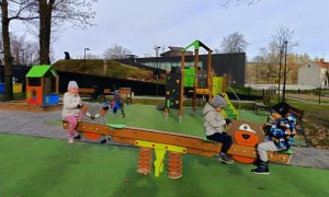 Sówki: Listopad 2025 - Zdjęcie 160