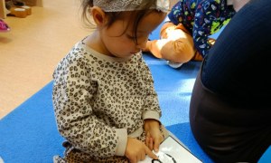 Sówki: Listopad 2025 - Zdjęcie 162