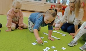 Sówki: Listopad 2025 - Zdjęcie 10