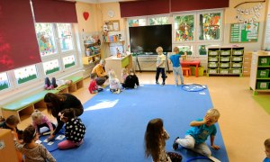 Sówki: Listopad 2025 - Zdjęcie 14