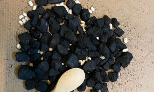 Dzień Górnika 2025 - Zdjęcie 18