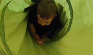 Dzień Górnika 2025 - Zdjęcie 26