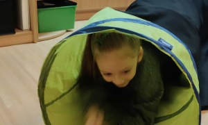 Dzień Górnika 2025 - Zdjęcie 39