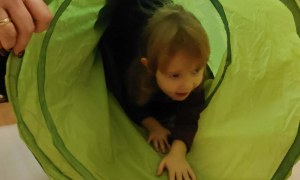 Dzień Górnika 2025 - Zdjęcie 114