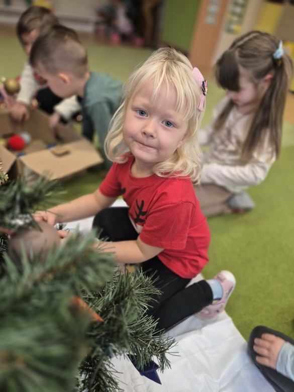 Sówki: Grudzień 2025 - Zdjęcie 89