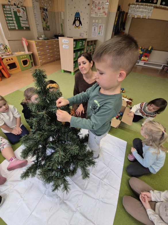 Sówki: Grudzień 2025 - Zdjęcie 90