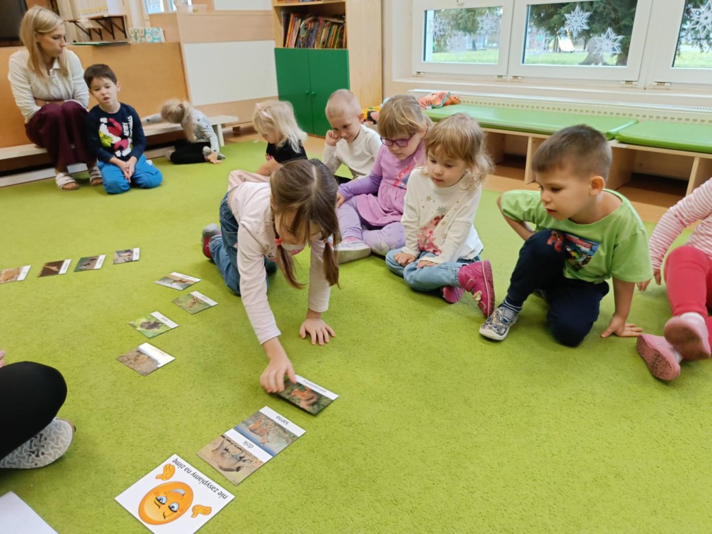 Sówki: Grudzień 2025 - Zdjęcie 98