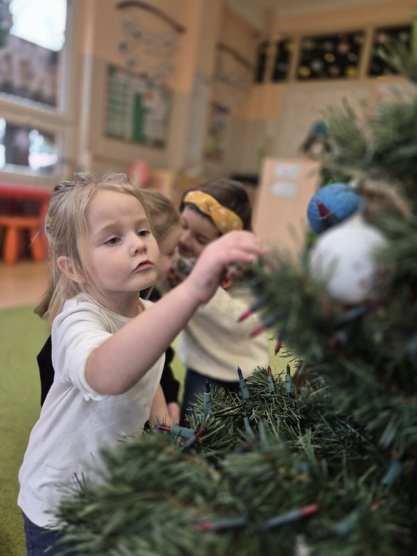 Sówki: Grudzień 2025 - Zdjęcie 110