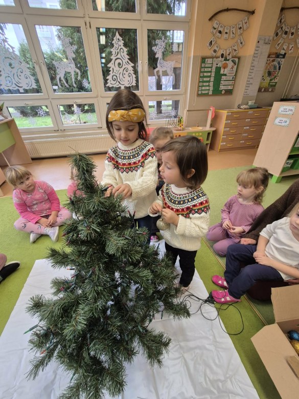 Sówki: Grudzień 2025 - Zdjęcie 114