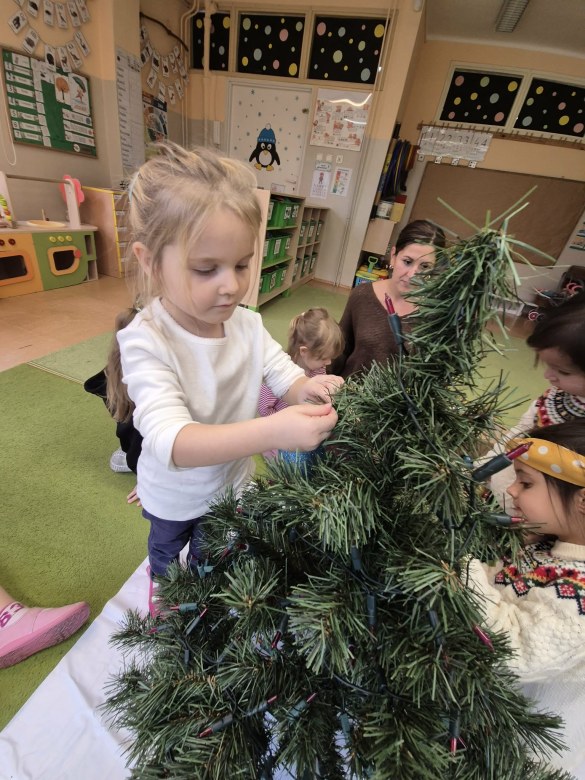 Sówki: Grudzień 2025 - Zdjęcie 123