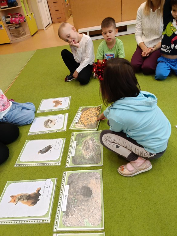 Sówki: Grudzień 2025 - Zdjęcie 129