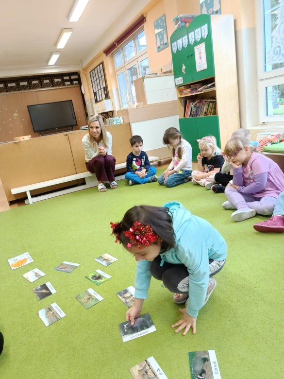 Sówki: Grudzień 2025 - Zdjęcie 130