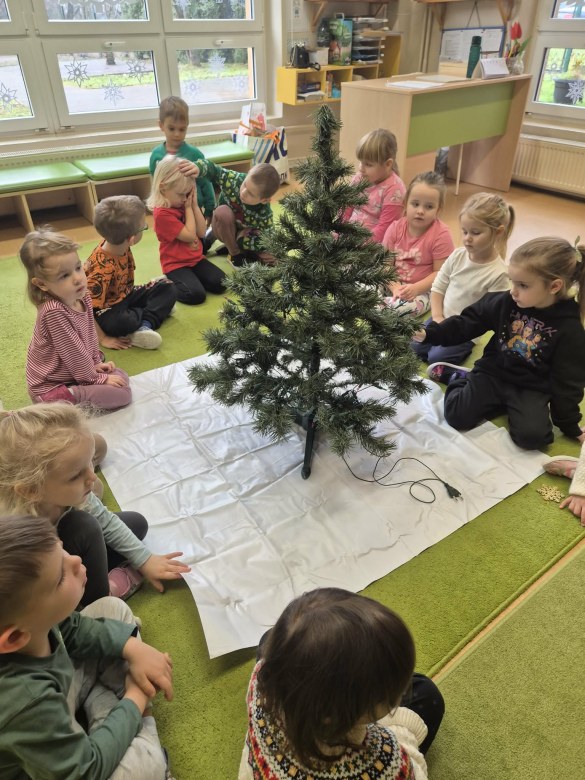 Sówki: Grudzień 2025 - Zdjęcie 134