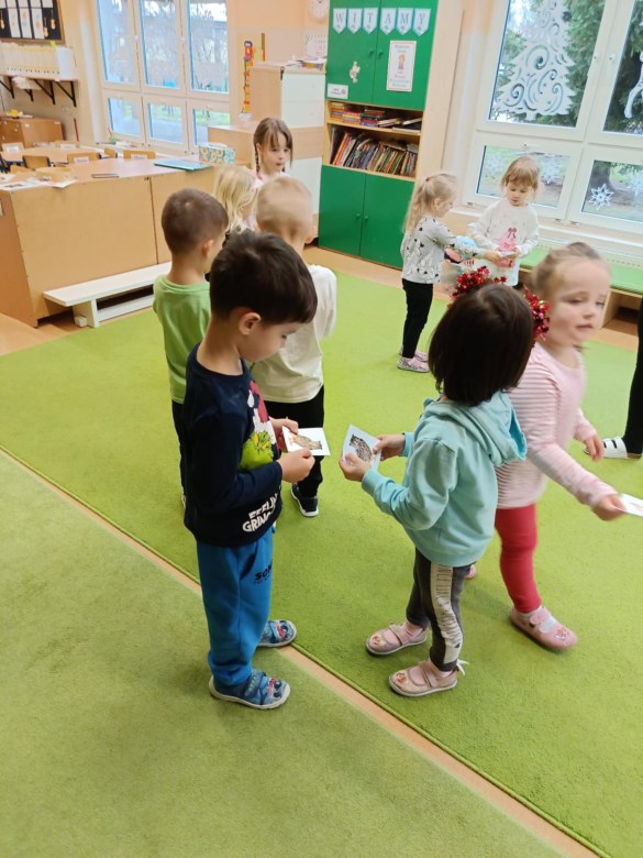 Sówki: Grudzień 2025 - Zdjęcie 142