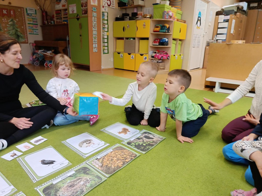 Sówki: Grudzień 2025 - Zdjęcie 150