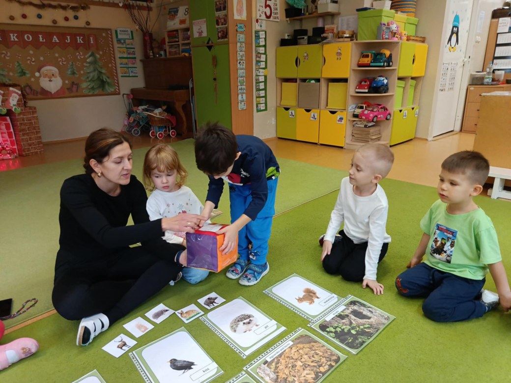 Sówki: Grudzień 2025 - Zdjęcie 151