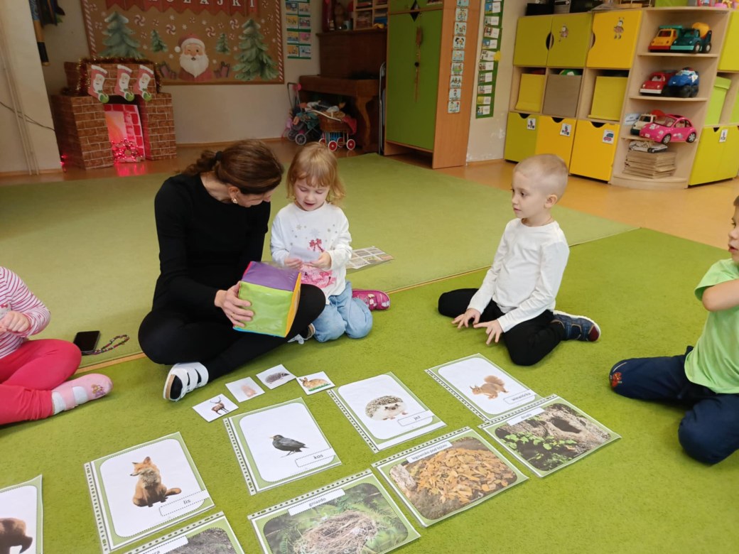 Sówki: Grudzień 2025 - Zdjęcie 157