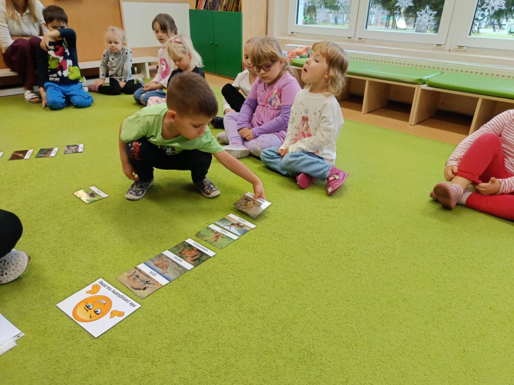 Sówki: Grudzień 2025 - Zdjęcie 159